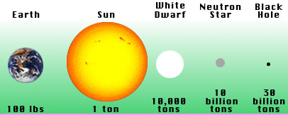 Weight Comparison Chart